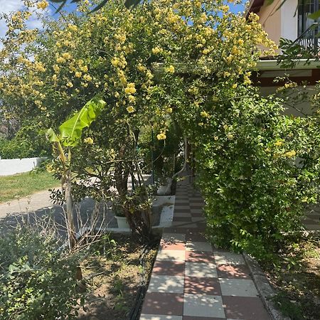 Koala Place Vasiliki  Exterior photo