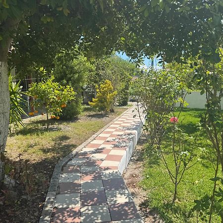 Koala Place Vasiliki  Exterior photo