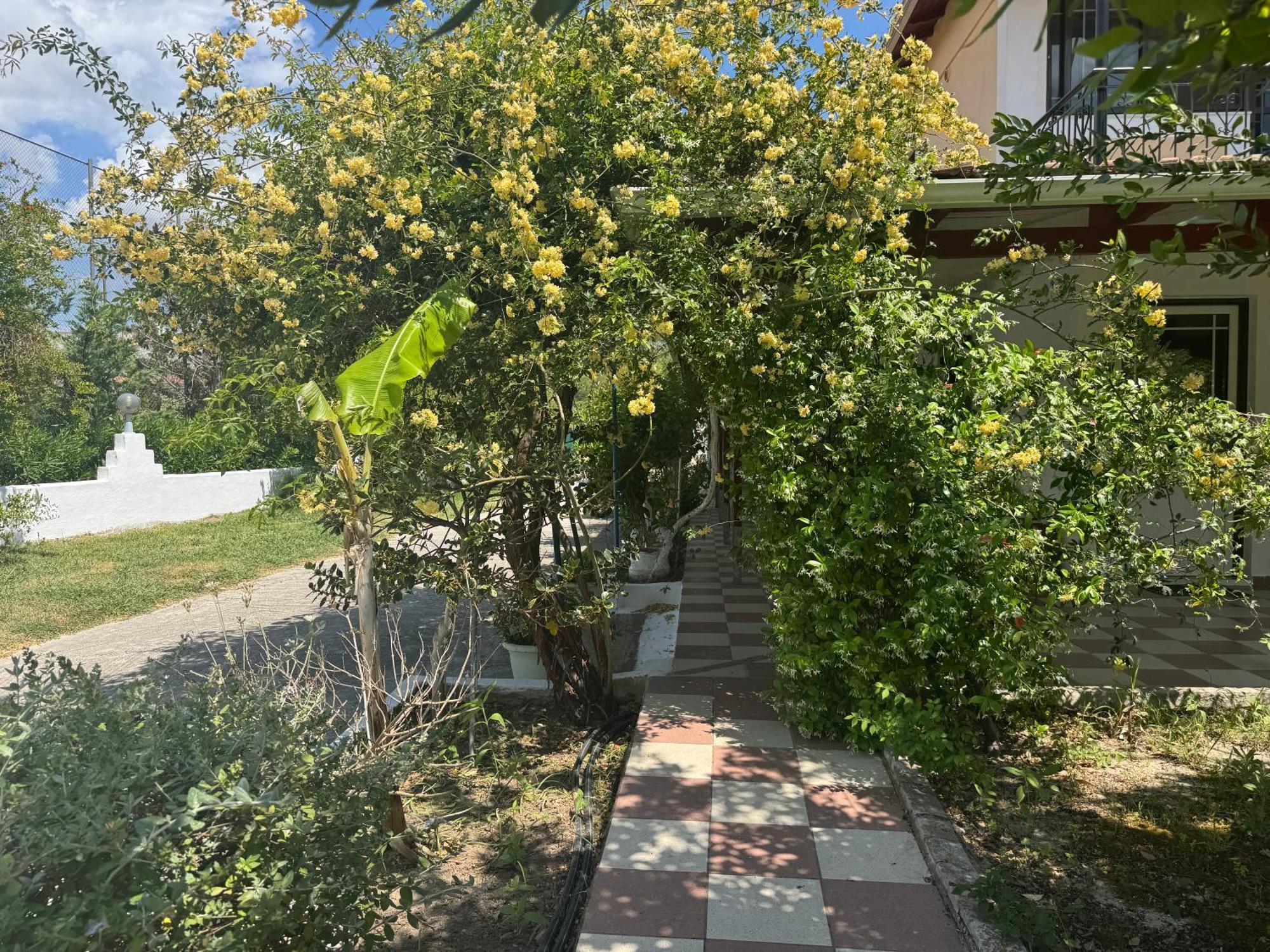 Koala Place Vasiliki  Exterior photo