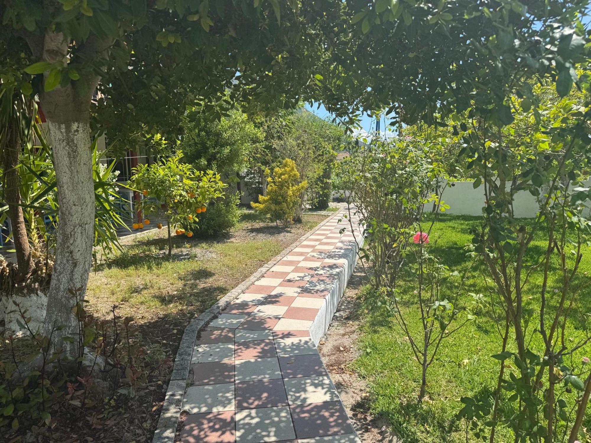 Koala Place Vasiliki  Exterior photo